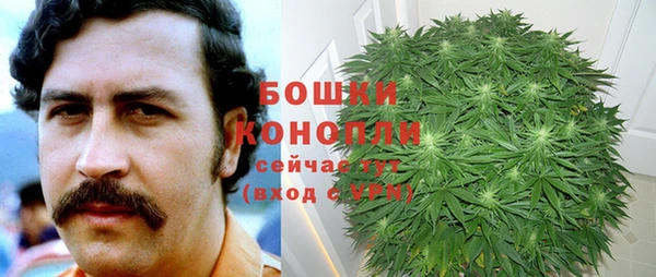 тгк Белокуриха