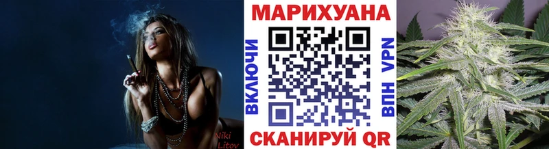 Конопля сатива  Горнозаводск 